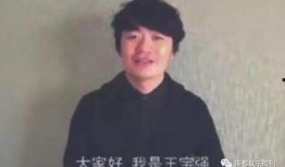 王宝强宋喆最新爆料视频,真相再起波澜