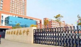 合肥高中爆料事件最新消息,揭秘校园内幕引发社会关注